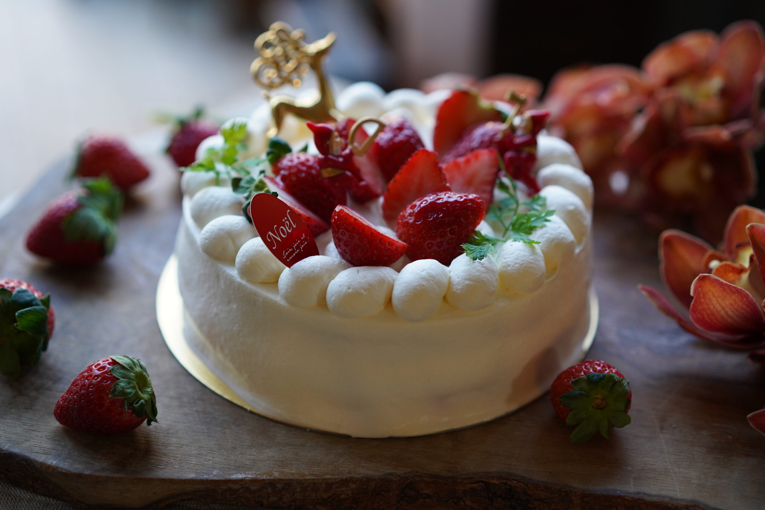 2024年クリスマスケーキのご案内♪ | 花屋とカフェのラムズイヤー 2024年クリスマスケーキのご案内♪ | 花屋とカフェのラムズイヤー